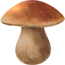 Mushroom Watercolor Illustration